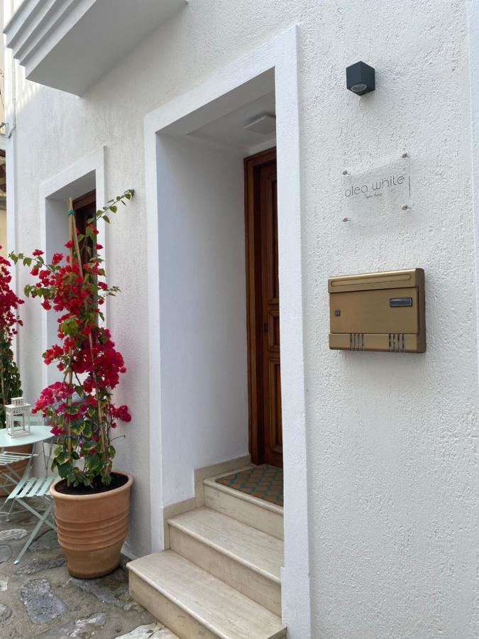Olea White Villa Skiathos Town Bagian luar foto